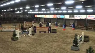 Taloudor KZ (taloubet x indorado) 2007