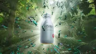 Is it Fake? | Purdy's Hummingbirds | Framestore