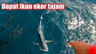 Mancing Jigging Pake Joran Casting Ternyata??