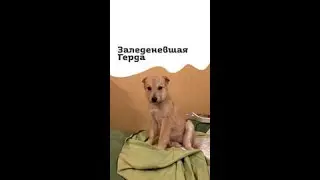 😳НАШЛИ НА МОРОЗЕ И СПАСЛИ👏