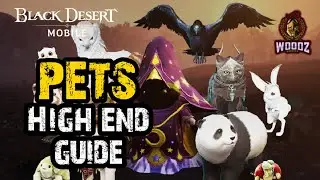 📚Pets | High-End Guide【Best Skills & Sets】Black Desert Mobile