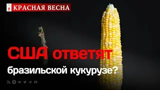 Бразилия опасно для США наращивает темпы развития сельского хозяйства