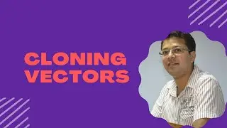 Different features of cloning vectors