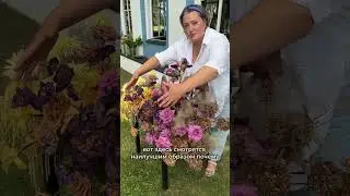 Точка напряжения 