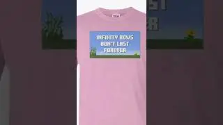 Minecraft Swag #minecraft