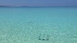 ЖИВЫЕ ЗВУКИ ОСТРОВА MILAIDHOO (Мальдивы)