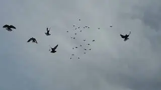 Сегодня хорошее утро 12 10 2023 года