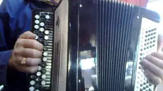 Баян Тульская 