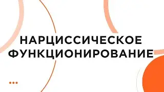 Нарциссическое функционирование