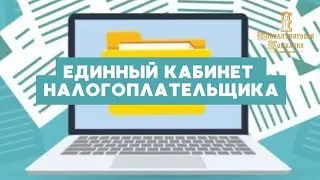 ЕНС- единый кабинет налогоплательщика📌 Почему вести ИП сейчас дороже ООО❓
