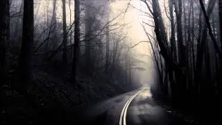 Black Sun Empire - Fever (Chris.SU Remix)