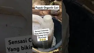 Pupuk Organik Cair | Jakamino + Calsium Boron dan Tricho