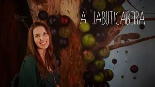 #003 Pintura a óleo: A Jabuticabeira - aula
