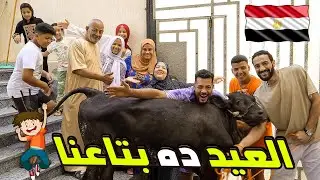 يومنا كامل في العيد 🐏العجل فرهدنا ومرمطنا 🐂(سانتفنا وحانتفنا 😍)