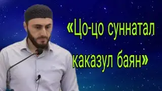 01.03.2024 / «Цо-цо суннатал каказул баян»