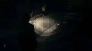 Alan Wake 2