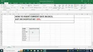HOW TO INSERT CURRENT DATE WITH SHORTCUT KEY IN EXCEL 