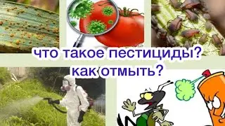 Что такое пестициды и как их отмыть перед едой? Правильное питание