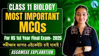 Class 11 Biology | Most Important MCQs for HS First Year Final Exam 2025 | ASSEB | Let's Approach