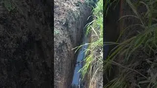 Проводим воду в дом