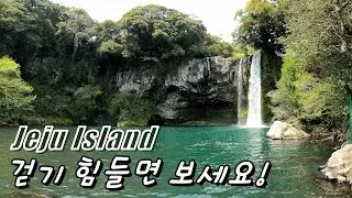 예전엔 폭포도 만질수있었는데. Walk to Cheonjiyeon Falls