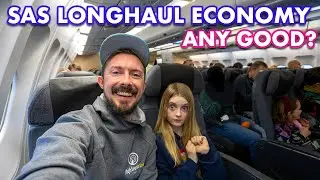 10 hours in SAS A330 Economy | Stockholm to Miami trip report with the family