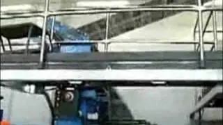 Страшная правда о Дне Святого Валентина