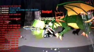 Aqw.greendragon solo