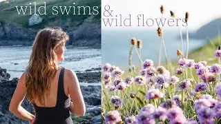 wild swims and wildflowers || hiking on the coast