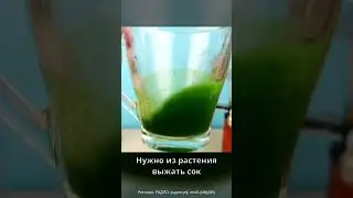 Лесная соль 