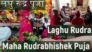 Laghu Rudra (Maha Rudrabhishek Puja)  - लघु रूद्र पूजा (महारुद्राभिषेक) 11 ब्राह्मणों द्वारा