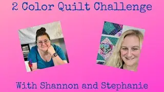 2 Color Quilt Challenge Month 4 - Sewing with Shannon Way 