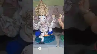 Ganpati Bappa Morya 🥰 🙏 #ganpati #ganpatibapamorya #youtube #shorts #morya #subscribe