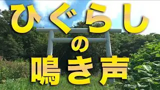 【ヒーリングBGM】田舎暮らしの夏の日の鳥居とひぐらしの鳴き声