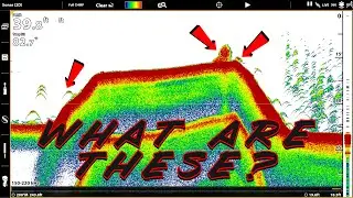 Fish Finder Explained For Beginners: Sonar, Side Imaging, Down Imaging, Mapping Tricks
