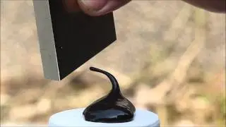 磁性異形秘密客（Magnetic Alien Mimicry）