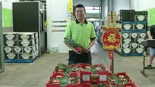 Lunar New Year Pineapples with Kevin Trieu Southern Asia Produce