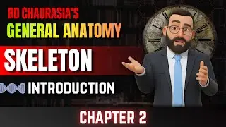Human Skeleton | Bones | Cartilage | Skeleton System