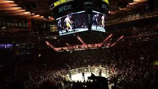 MSG goes nuts when Alex Pereira stops Israel Adesanya in round 5 at 