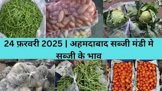 Ahmedabad wholesale vegetable market | 24 February 2025 | अहमदाबाद सब्जी मंडी मे सब्जी के भाव...