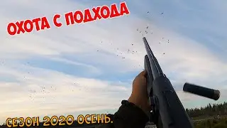 Охота с подхода. Собака утопила камеру. Сезон охоты на уток 2020.  Канонада выстрелов завораживает