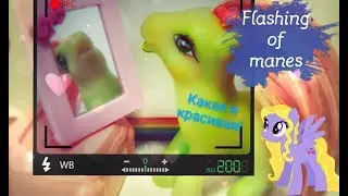 Re-flashing pony manes
