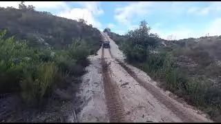 Mavas em direção ao céu