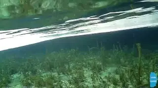 Zamrznati delovi od Ohridskoto Ezero