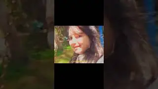 однажды мы снова будем любоваться сакурой вместе...