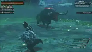 Midnight Grove | Potion of Midnight | Flesh of Remembrance | Jhebbal Sag's Dungeon and religion