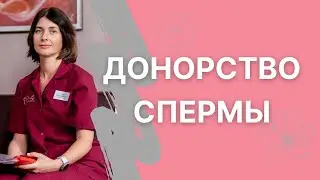 Донорство спермы: откровенный разговор с врачом-репродуктологом