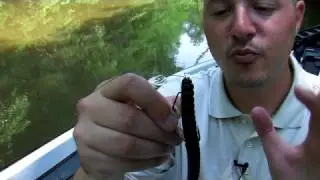 How to Texas Rig a Soft Plastic Fishing Lure