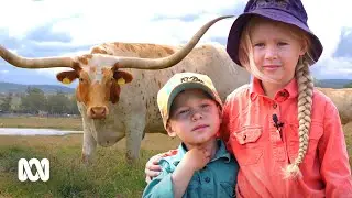 Why these Queensland kids spend hours with their Texas longhorn cattle 🐮🤠 | ABC Australia