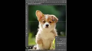 Lay down Ear Fix - Clone Stamp Tool - Photoshop Tutorial 